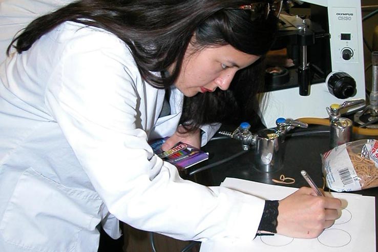 A student working on her classwork.
